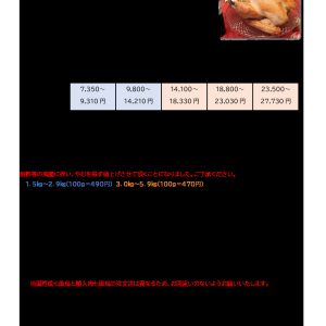 ▲結合ver. 案内チラシ_mergedのサムネイル